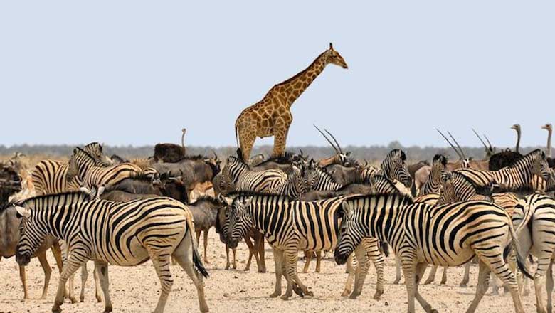 "Cases sociales" : en finir avec les étiquettes qui nous divisent "Cases sociales" : en finir avec les étiquettes qui nous divisent