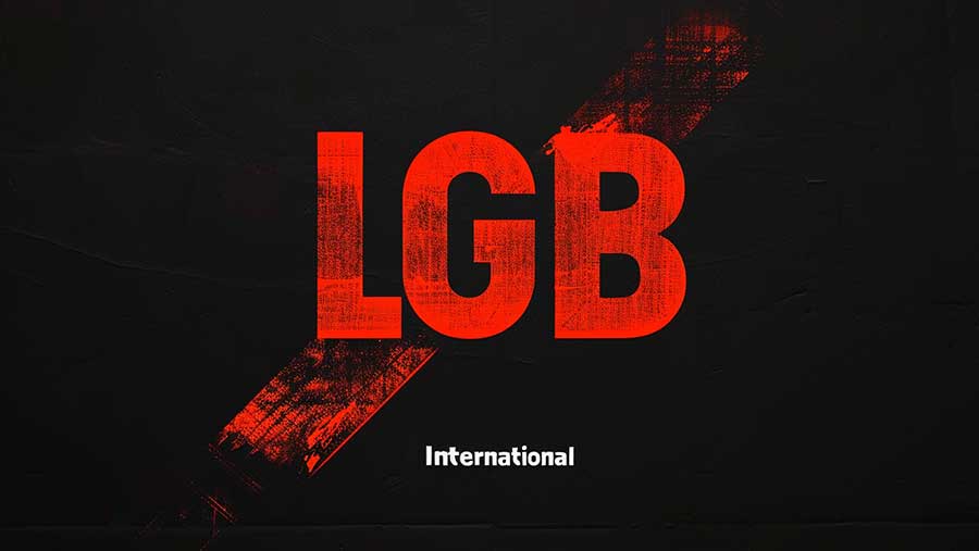 Des groupes LGB - lesbiennes, gays et bisexuels - déclarent collectivement leur indépendance de l’establishment LGBTQIA+