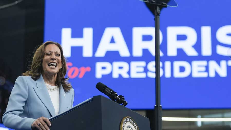 kamala-harris-conserve-une-avance-etroite-dans-un-nouveau-sondage-national image Kamala Harris conserve une avance étroite dans un nouveau sondage national