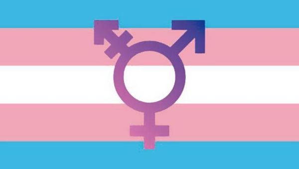 drapeau-transgenre-3fe78041 image